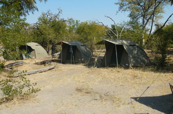 2-Nights Savuti Safari